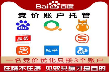 从新手到高手：百度竞价实战案例分析